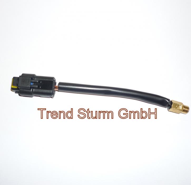 Bigas Thermostat Verdampfer GIS