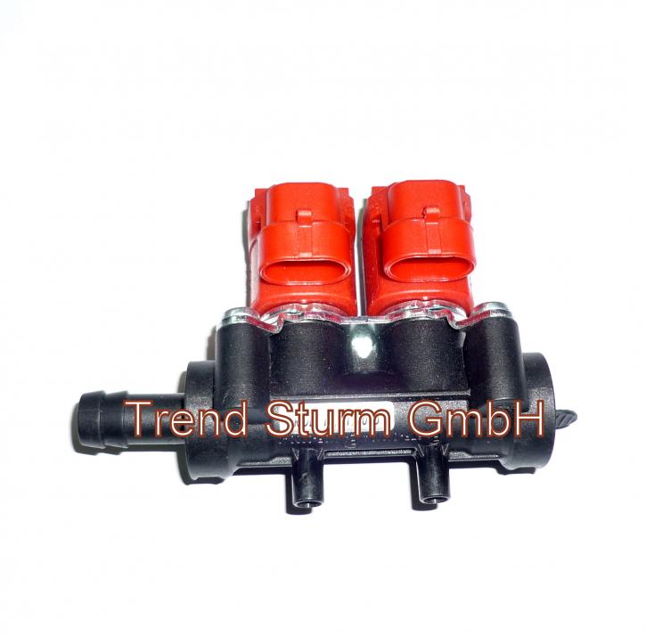 Einspritzrail Valtek 2 Zyl. 3 Ohm Typ 37 rot